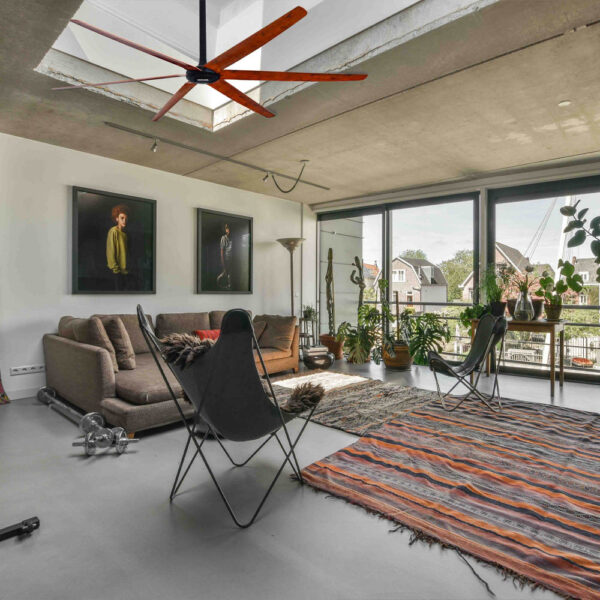 Big Ceiling Fan